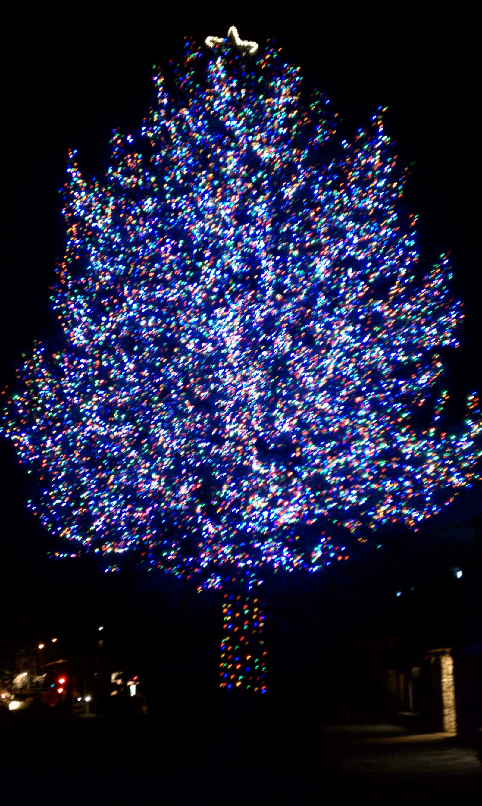 20 outdoor décor ideas with christmas lights party light christmas