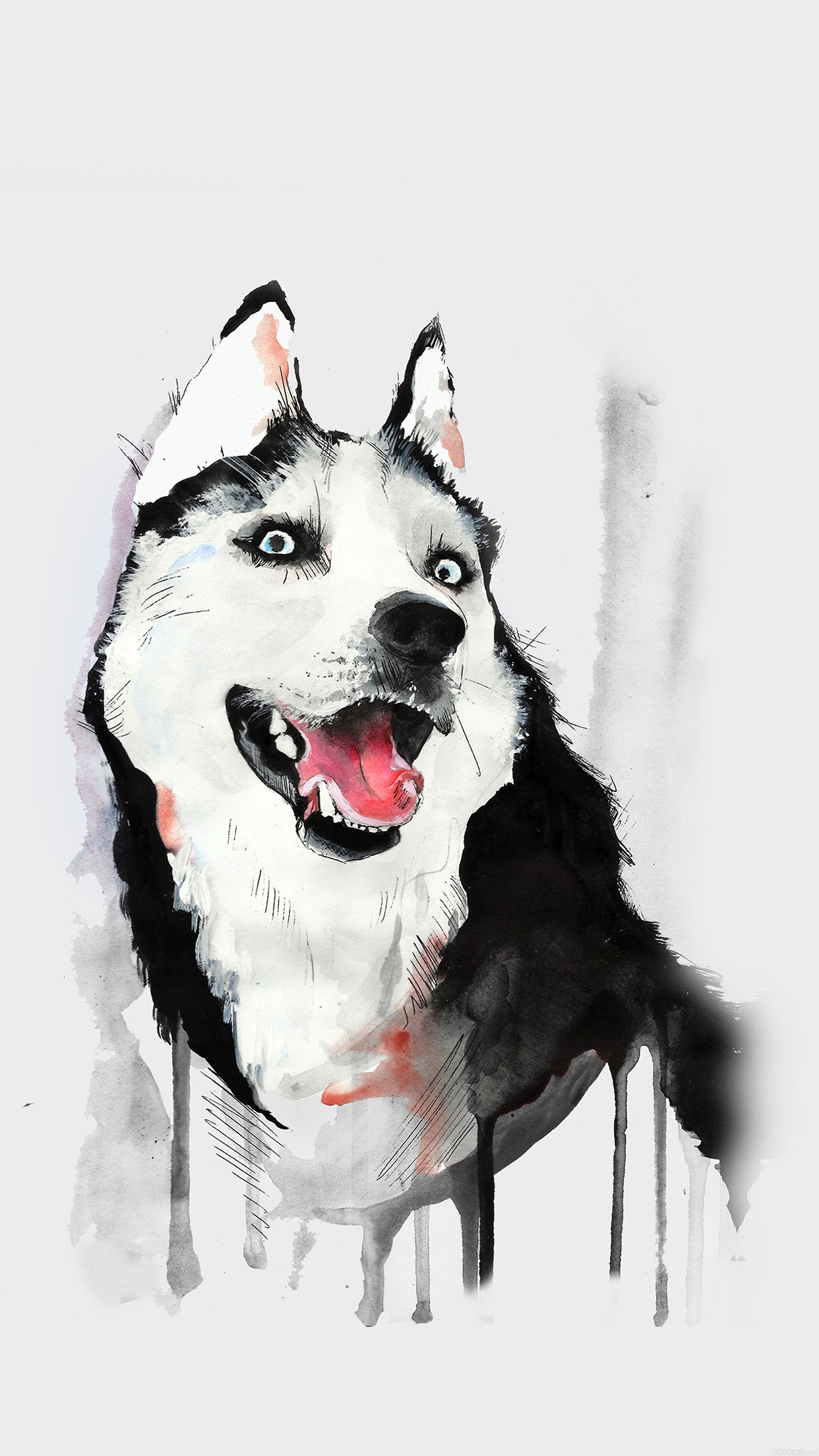 husky iphone wallpaper 30 amazing illustrations iphone wallpapers husky iphone wallpaper 30 amazing illustrations iphone wallpapers