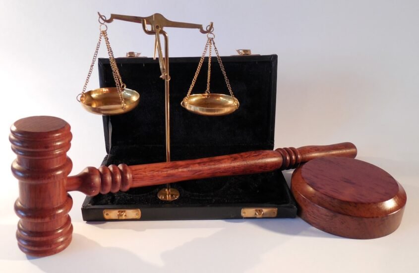 Dissertation business legislation