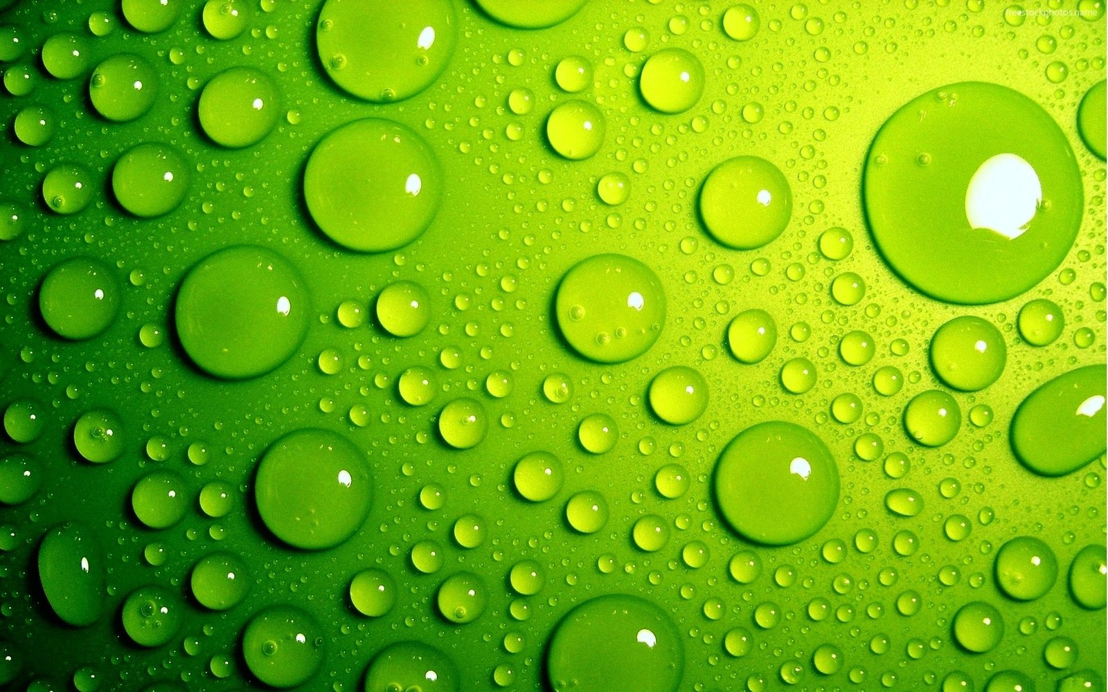 3d Wallpapers Free To Download