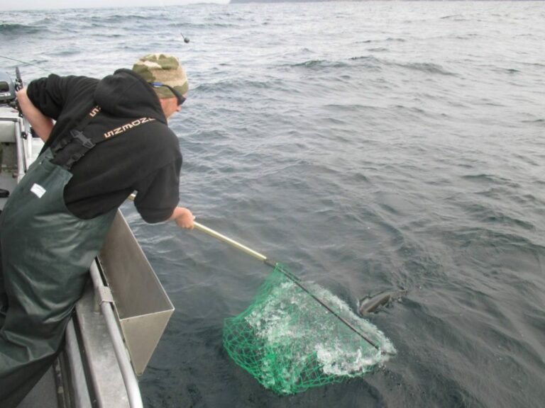 Twelve Types of Fishing and The Different Techniques Explained