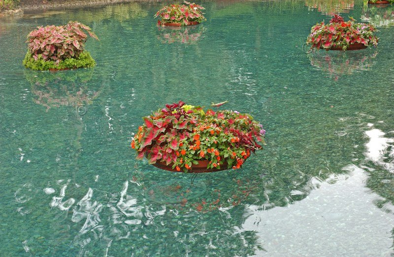 Floating Garden Dream or Reality? Available Ideas