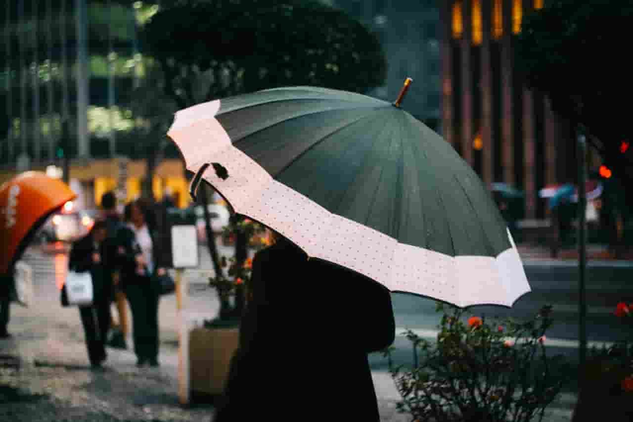 A Guide to Choosing the Best Windproof Umbrella Available Ideas